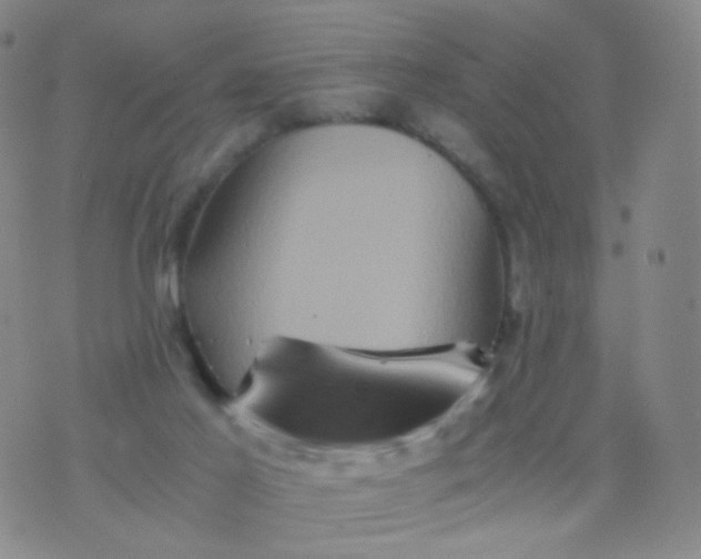 X0000076450021200610202346