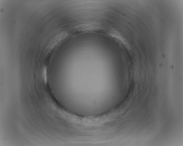 X0000076450022200610202346