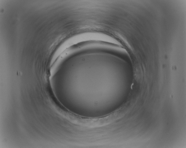 X0000076450023200610202346