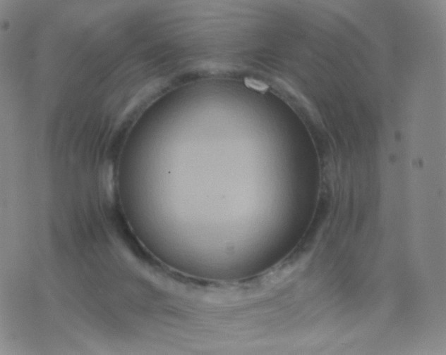 X0000076450024200610202346