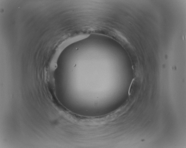 X0000076450025200610202346