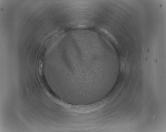 X0000076450026200610202346