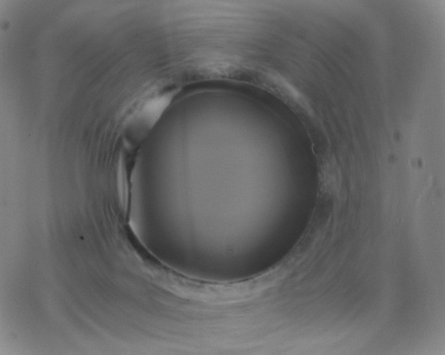 X0000076450027200610202346