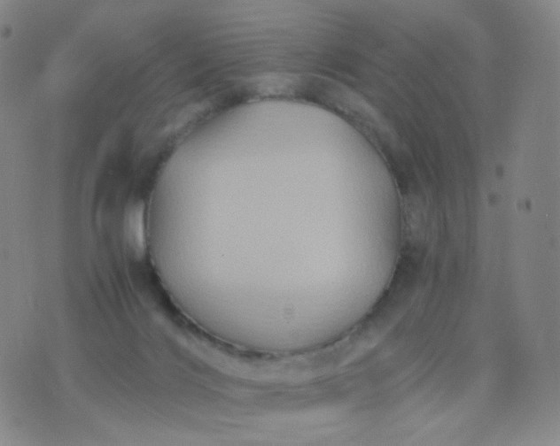 X0000076450028200610202346