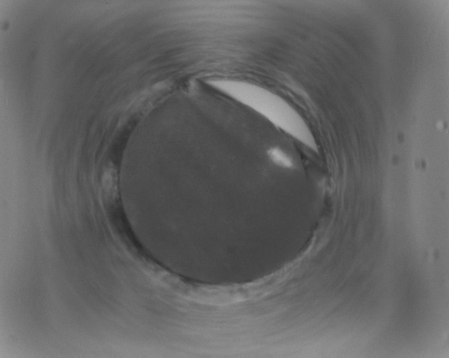 X0000076450029200610202346