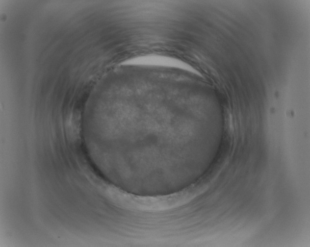 X0000076450030200610202346