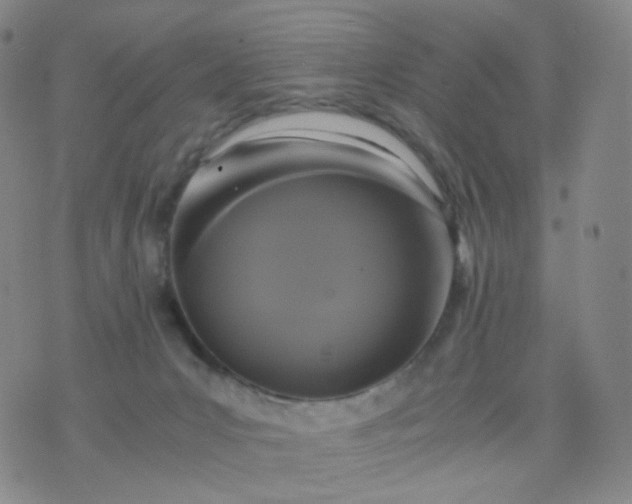 X0000076450031200610202346