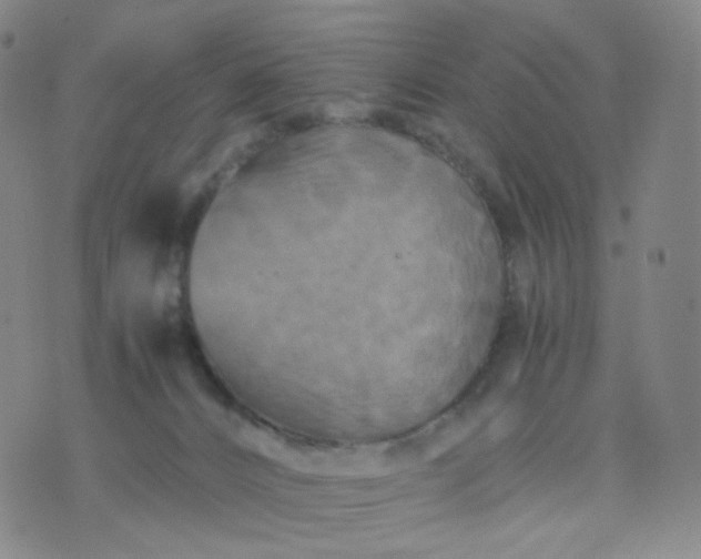 X0000076450032200610202346