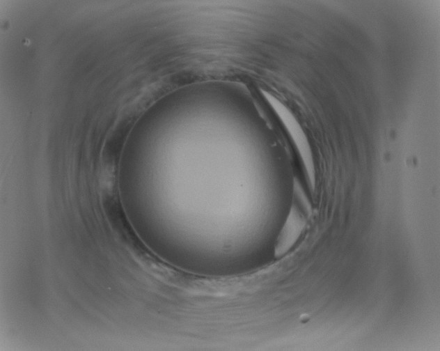 X0000076450033200610202346