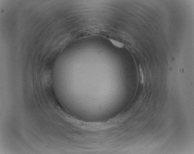 X0000076450034200610202346