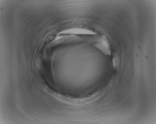 X0000076450035200610202346