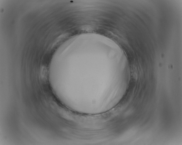 X0000076450036200610202346