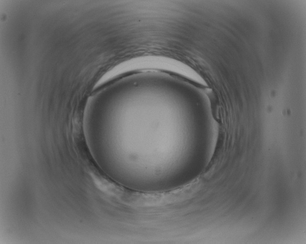 X0000076450037200610202346