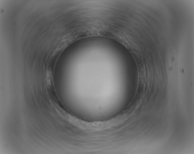 X0000076450038200610202346