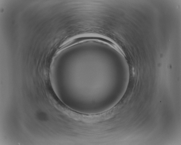 X0000076450039200610202346