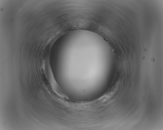 X0000076450040200610202346