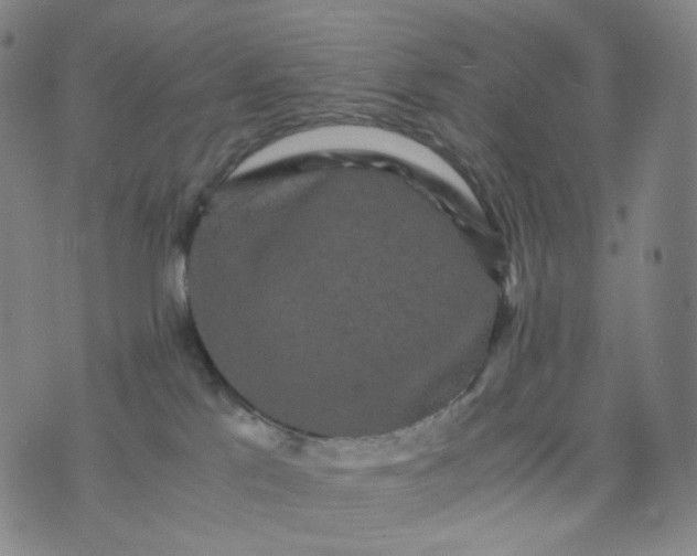 X0000076450041200610202346