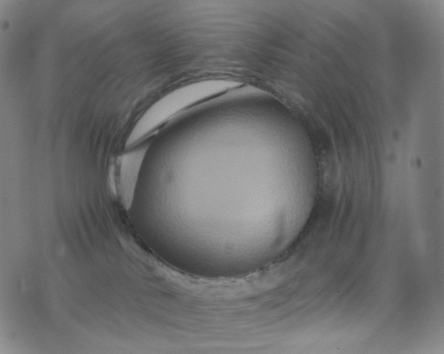 X0000076450042200610202346