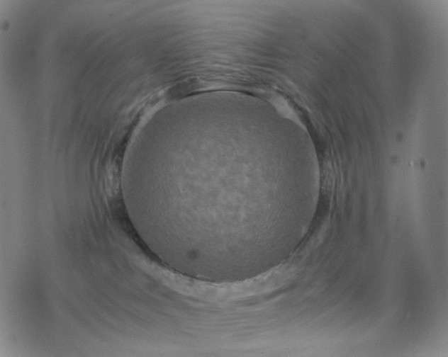 X0000076450043200610202346