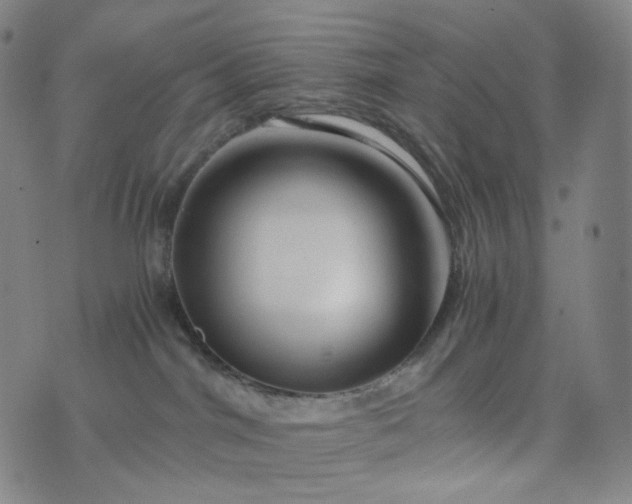 X0000076450044200610202346