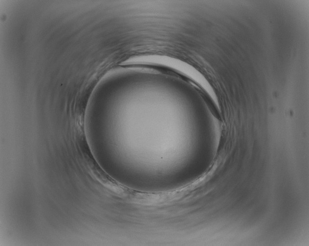 X0000076450045200610202345