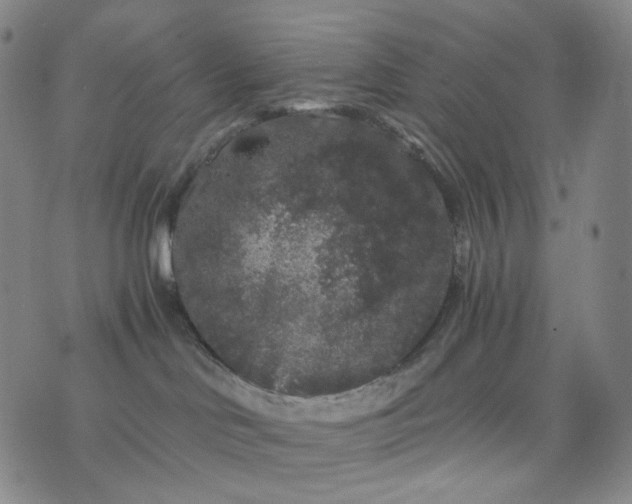 X0000076450046200610202345