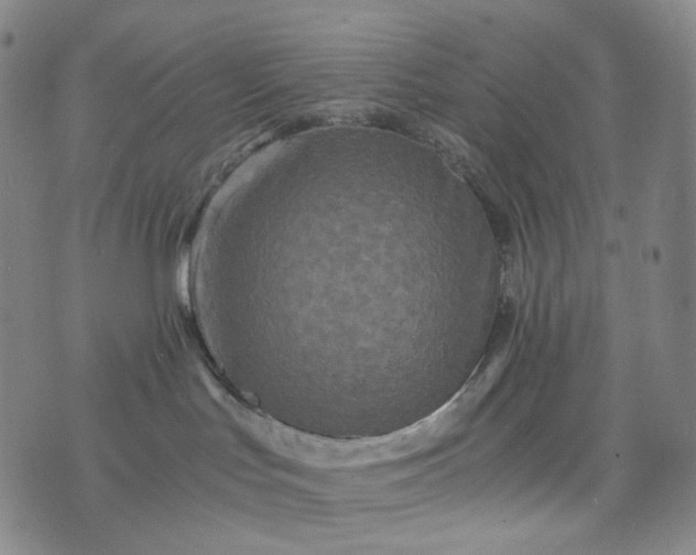 X0000076450047200610202345