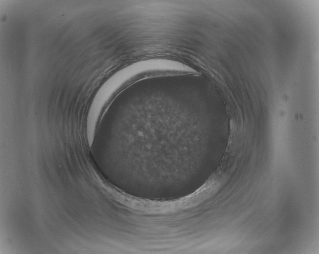 X0000076450048200610202345