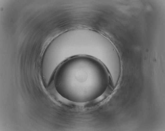 X0000076450049200610202345