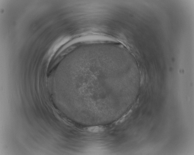 X0000076450050200610202345