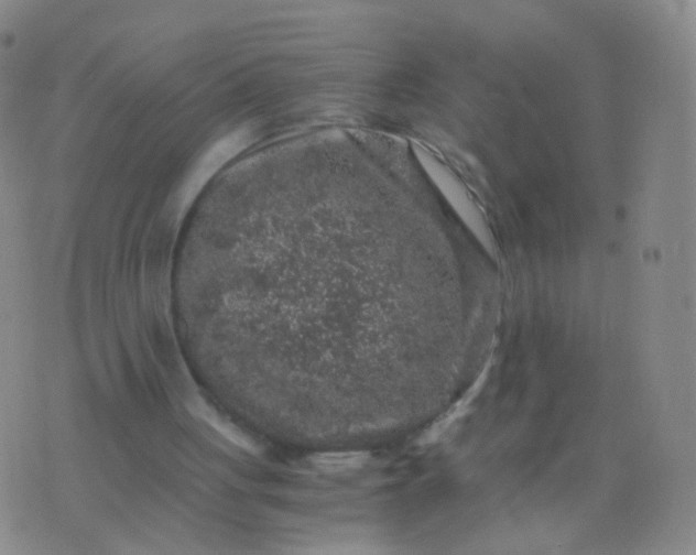 X0000076450051200610202345