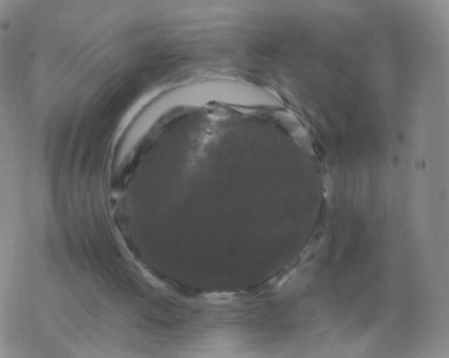 X0000076450052200610202345