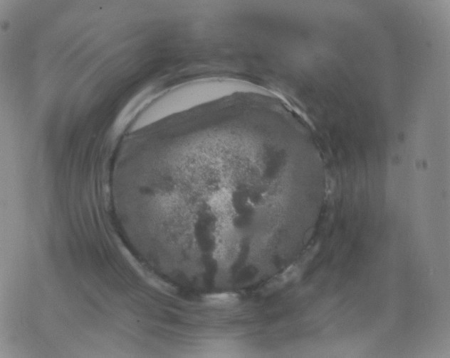 X0000076450053200610202345