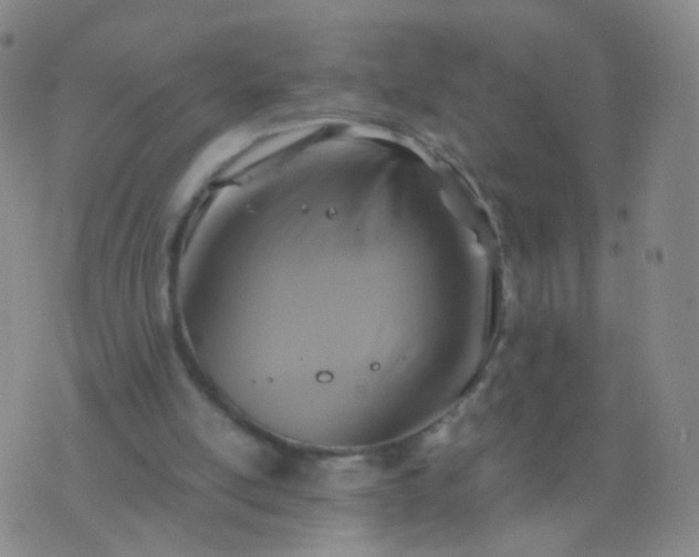 X0000076450054200610202345