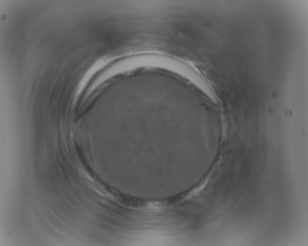 X0000076450056200610202345