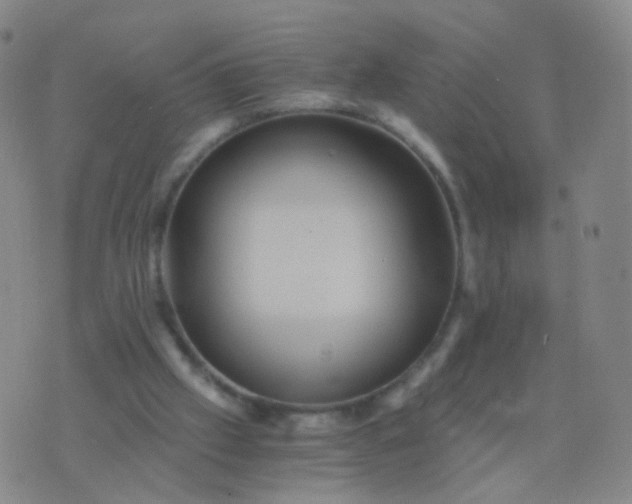 X0000076450057200610202345