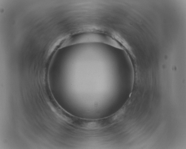 X0000076450058200610202345