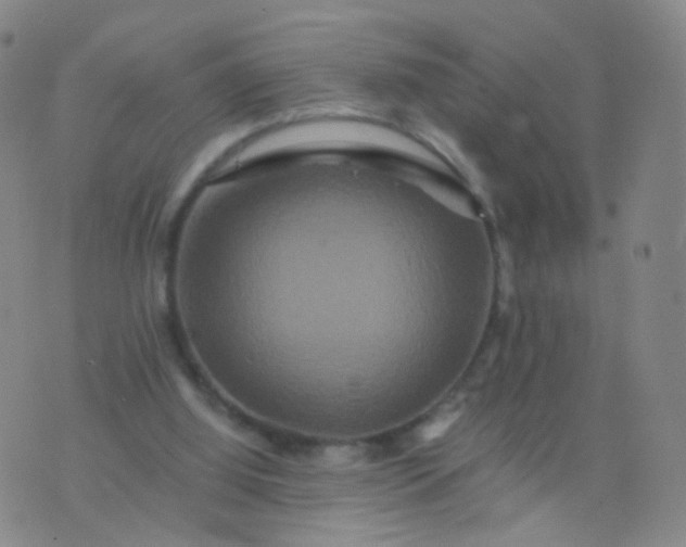 X0000076450060200610202345