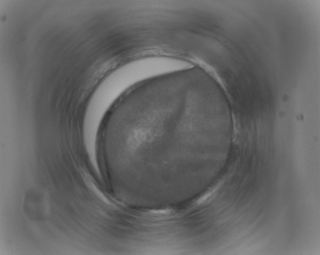 X0000076450061200610202345