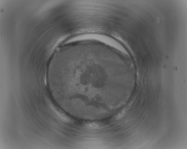 X0000076450062200610202345