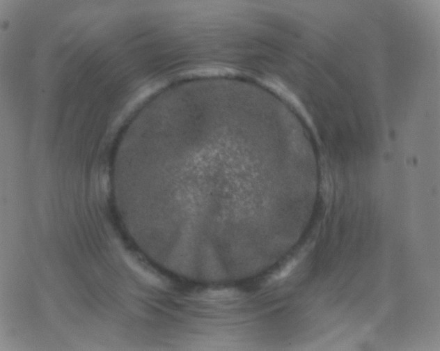 X0000076450063200610202345