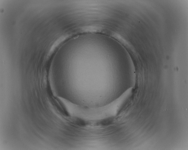 X0000076450064200610202345