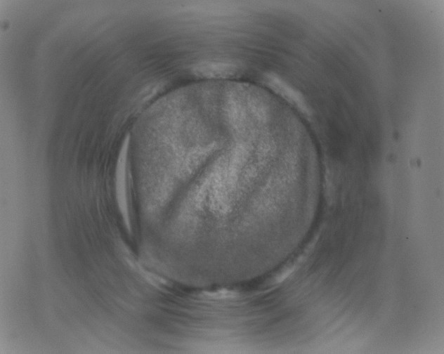 X0000076450065200610202345