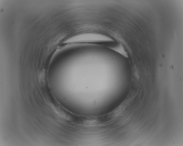 X0000076450066200610202345