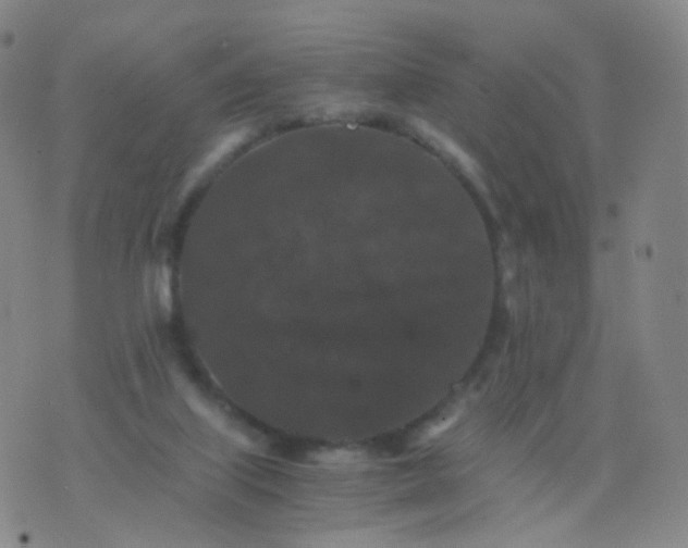 X0000076450067200610202345