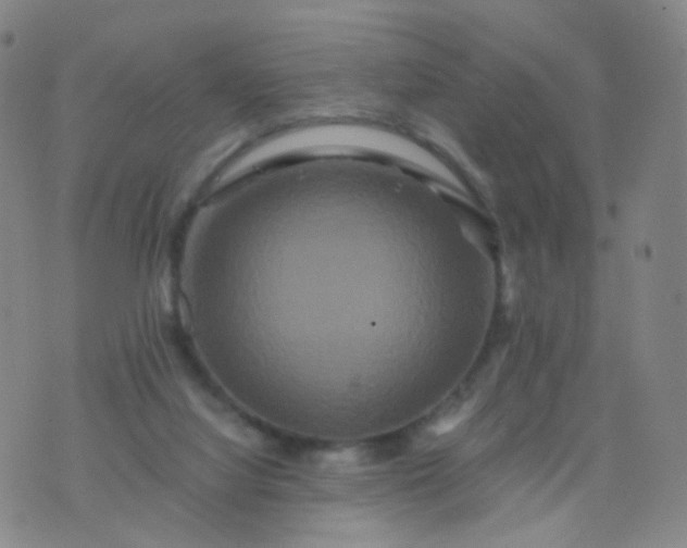 X0000076450068200610202345