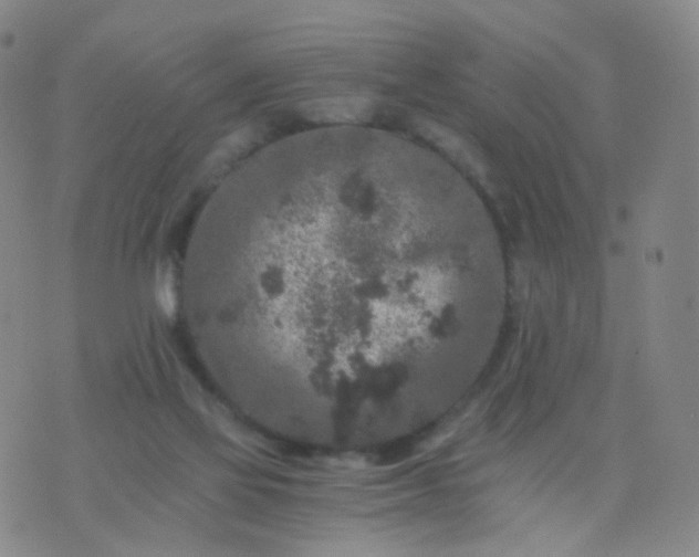 X0000076450069200610202345