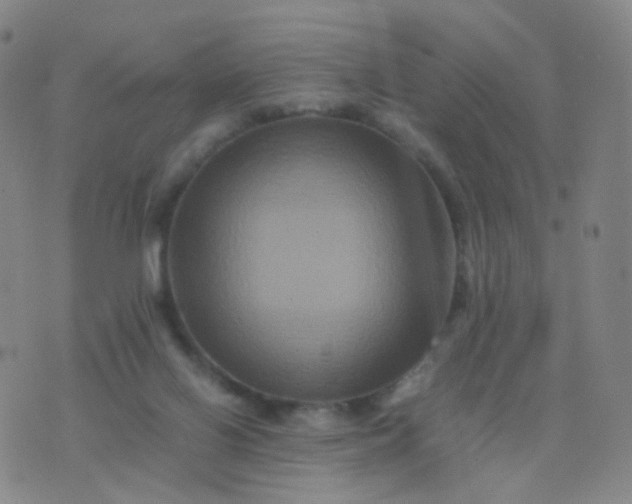 X0000076450070200610202345