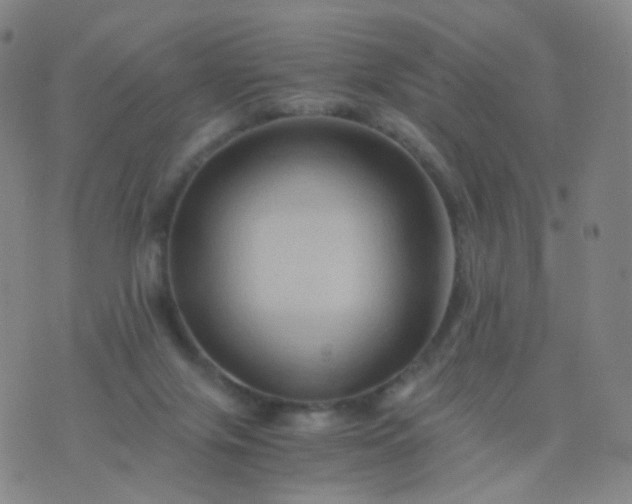 X0000076450071200610202345