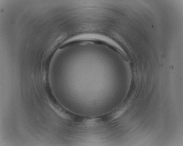 X0000076450072200610202345